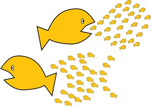 Click on image to see full-sized version fishes_small.jpg