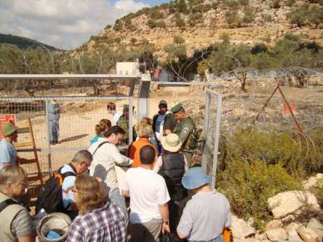Click on image to see full-sized version 460_0___30_0_0_0_0_0_olive_picking_2008_forces_of_occupation_3.jpg