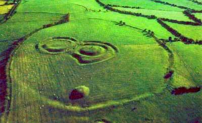 Click on image to see full-sized version tara3.jpg