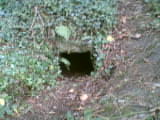 Souterrain near Lismullin
