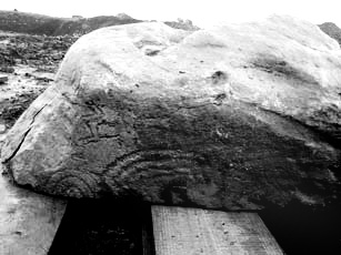 Lismullin Stone - carvings 