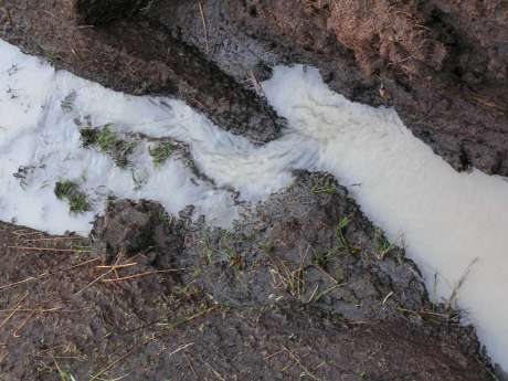 Contaminated water running through the drains towards the Bellanaboy River