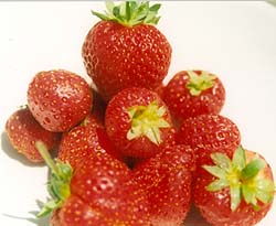 Click on image to see full-sized version strawberries1.jpg