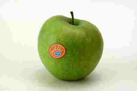 Click on image to see full-sized version Ceci n'est pas une Cesky Sen pomme.