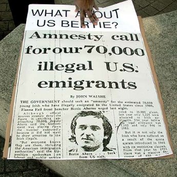 Amnesty?