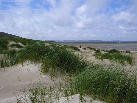 Dunes at Glengad