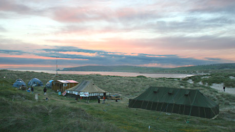 The camp now has two marquees, a wooden building, three benders and a geodome... and tents