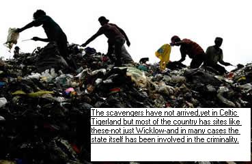 Click on image to see full-sized version Scavengers- of no political slant.
