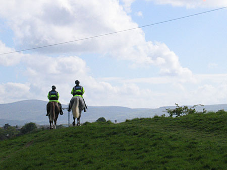 Adious horses