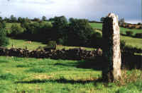 Fenagh Stone