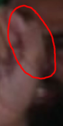 bad Isaeli photoshop - further enlargement of weird extra flesh-coloured pixels to the right of the thumb