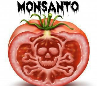 monsantotomato.jpg