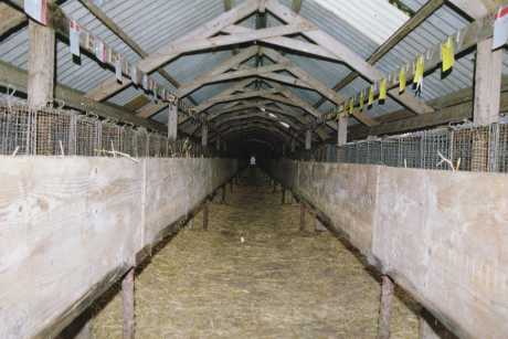 Mink Farm
