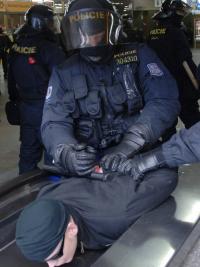 Arrested demonstrator