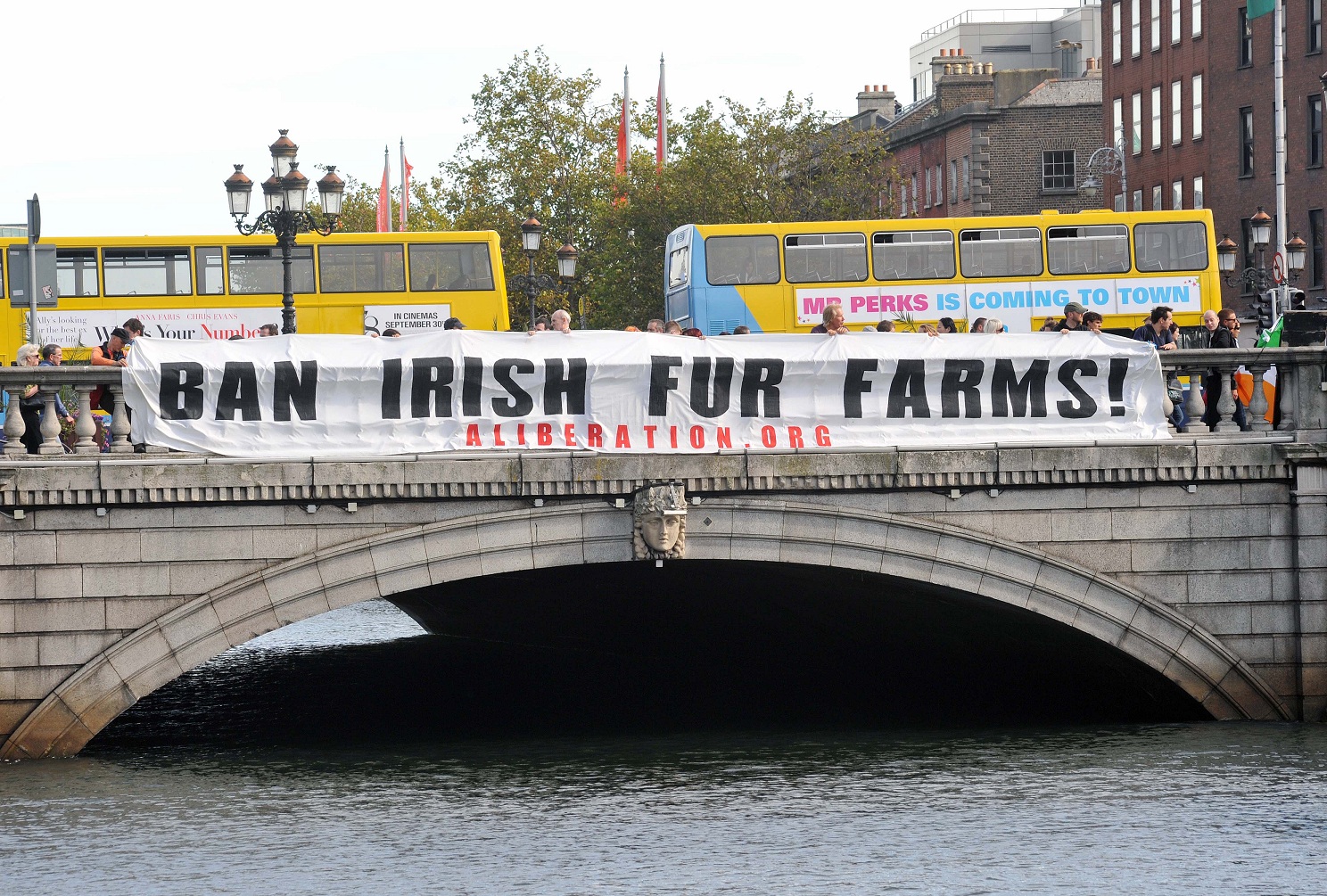 Fur Factory Farming