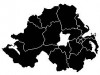 nielection.jpg