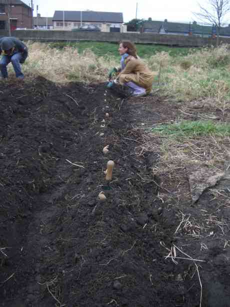 full drill - ready to spuds to be put into the earth