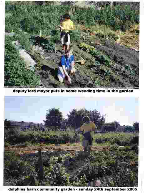 deputy lord mayor puts in some weeding time at the garden, sep 05