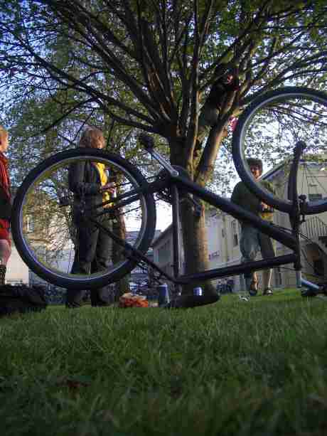 critical massers ended up messing in the trees and the sun