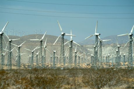 california_wind_farm.jpg