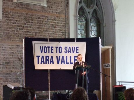 Kevin Hayes, Campaign to Save Tara