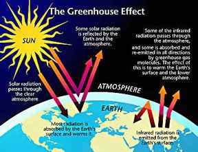 Click on image to see full-sized version greenhouse.jpg