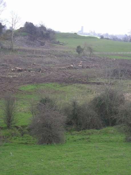 Skryne in the background