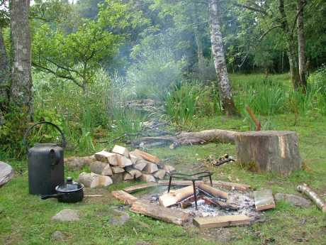 Click on image to see full-sized version weekend_in_the_woods.jpg