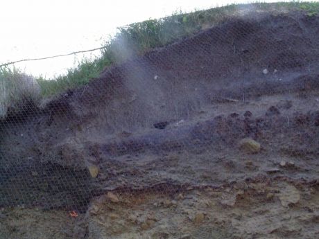 Sandmartin nesthole netted over in Glengad