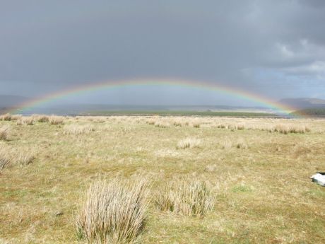 Rainbow marks the spot