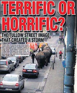 Click on image to see full-sized version Elephants on Promotional Parade in Carlow town