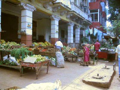 fruit market in Cuba. 3.2 million tonnes of organic fruit and veg are produced in urban settings each year in Cuba