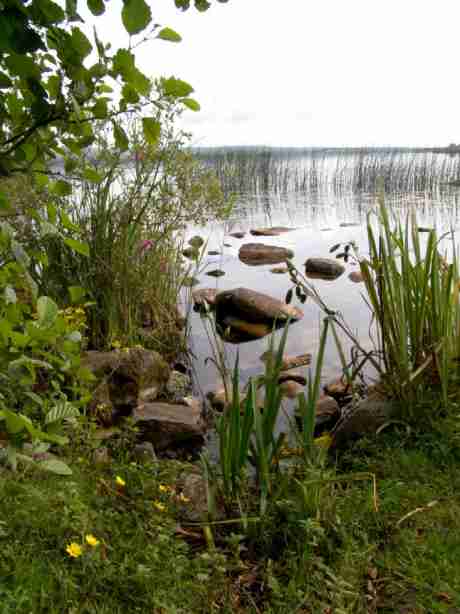 Down By The Lake