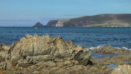 Dolphins in Broadhaven Bay