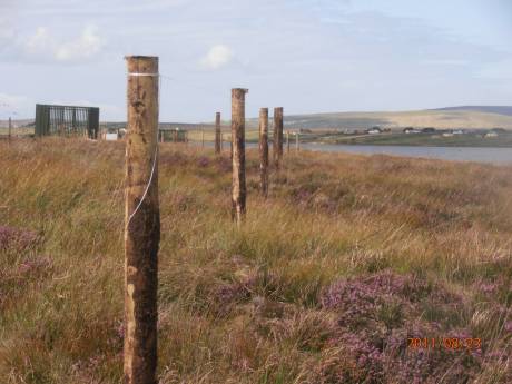 The extent of Shell's fencing at the back of the compound