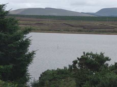 The  "danger sinkhole" signs stick out over the high tide