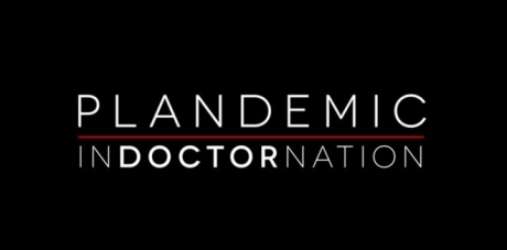 plandemic-2-indoctornation.jpg