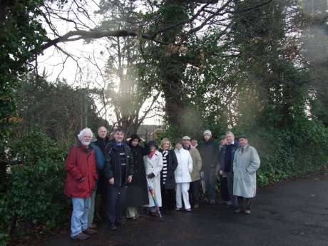 Residents acting against developer tree felling