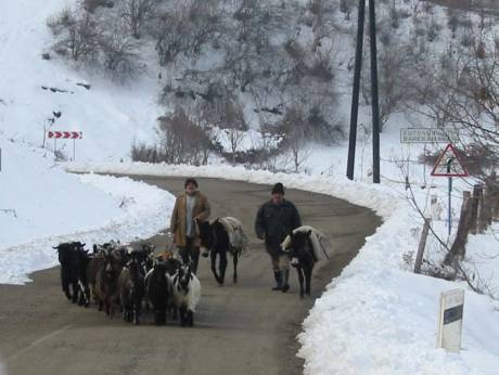N/E Armenia close to Azerbaijan and Georgia borders