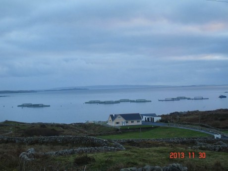 Kilkieran Bay