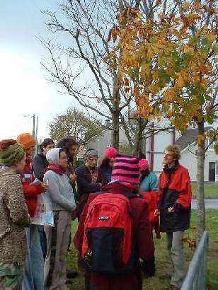 working with and learning from nature