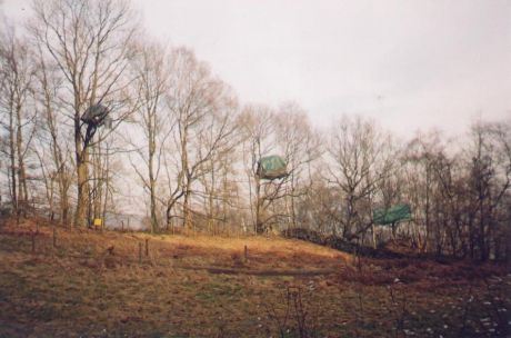 Nine Ladies protest camp