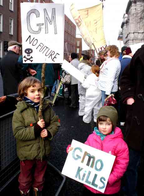 No Future - For GMO's