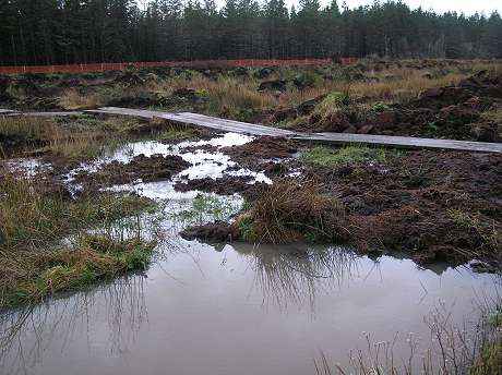 The backed-up contaminated water finding it's own way downhill and into the drainage system