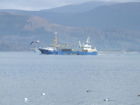 Cargo on the way to Warrenpoint.