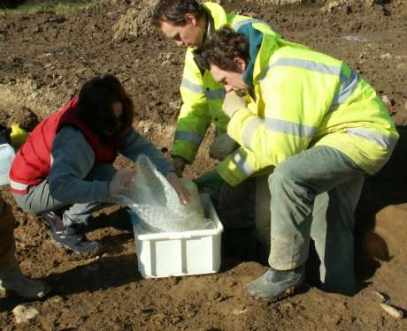 Burials going to the lab Ardsallagh 2