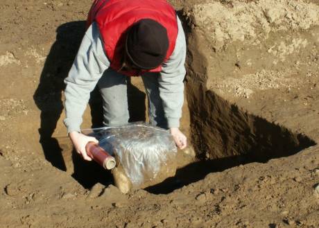 Removal of cremation burial Ardsallagh 2 - cling film