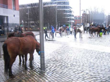 Click on image to see full-sized version dublin.jpg