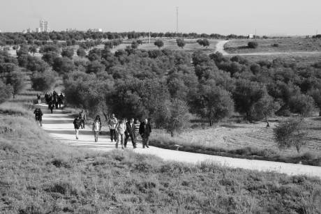 Over this countryside the British Battalion advanced on 12 February 1937