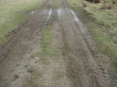 Damage on the SAC
